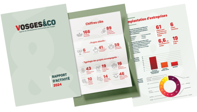 rapport d'activité Vosges&co 2024 agence de développement économique des Vosges