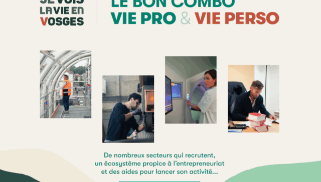 salon du travail et de la mobilité professionnelle - stand vosges